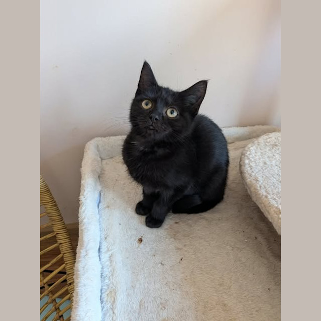 Photo of Lilith