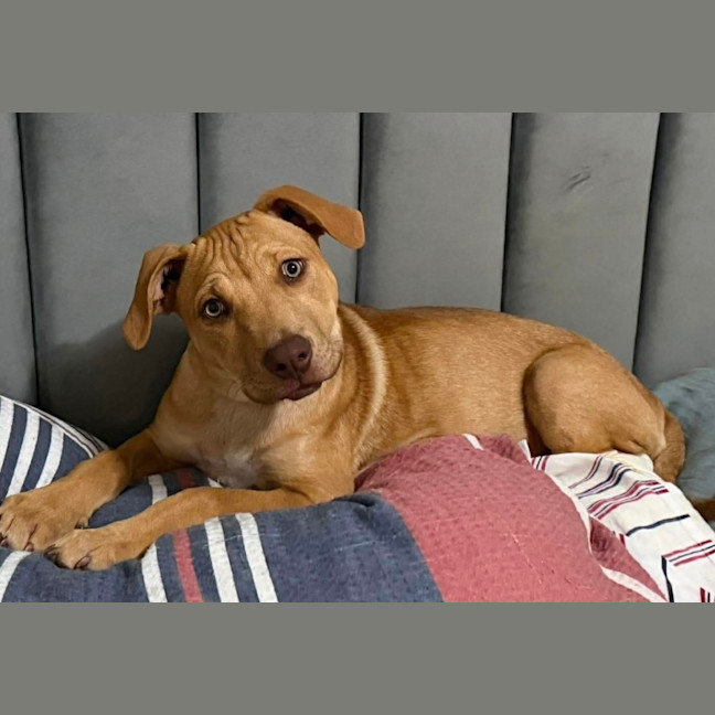 Photo of Ellie