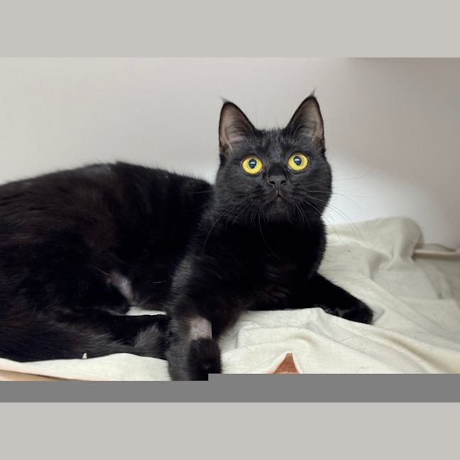 Photo of Betsy