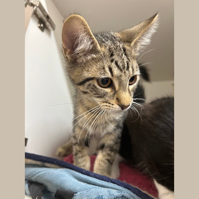 Photo of Zeus