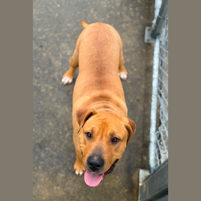 Photo of Lola