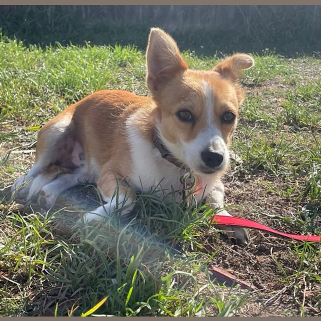 Photo of Alvin