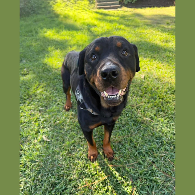 Photo of Chunk