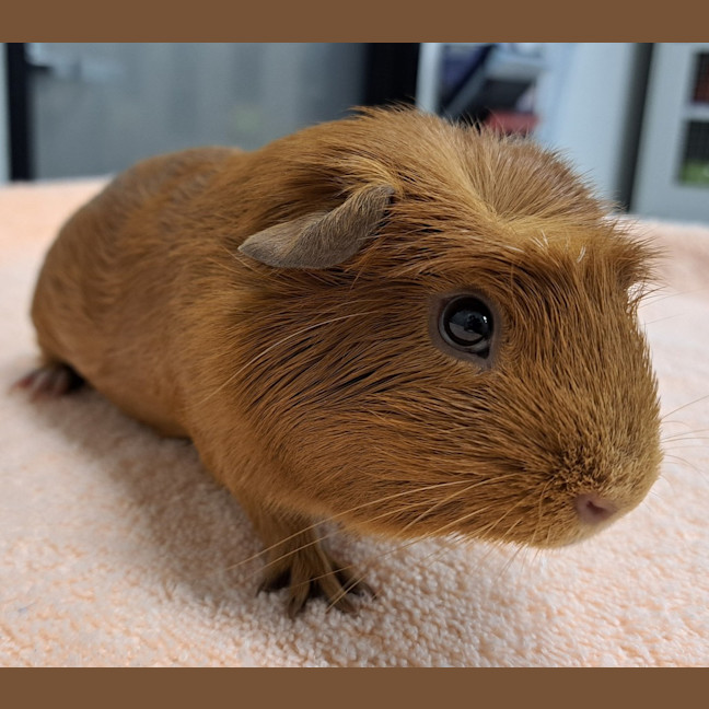 Photo of Arthur