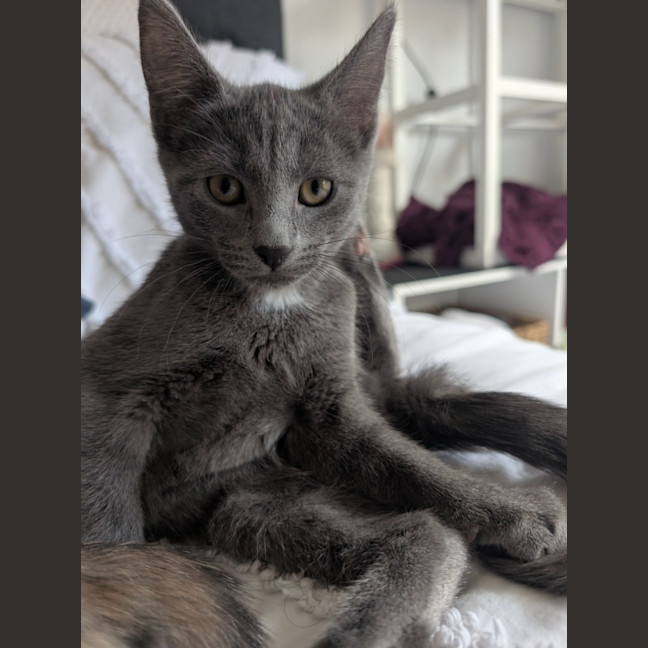 Photo of Nova
