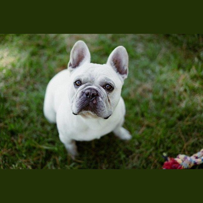 Photo of Bee O’cleary