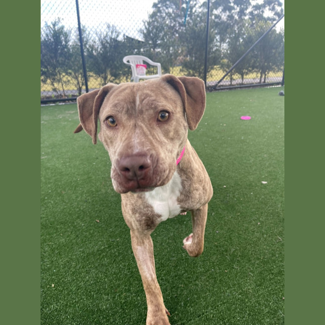 Photo of Sadie Imp 1381