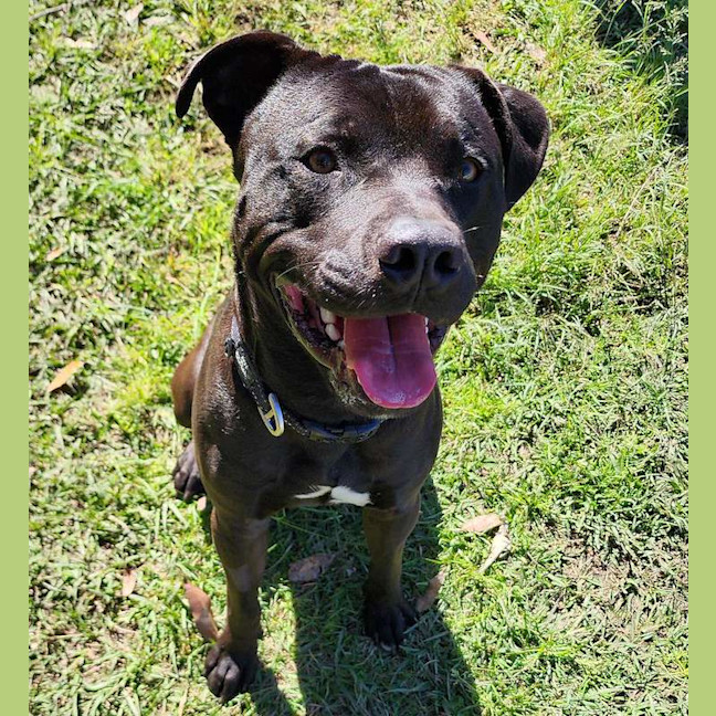 Photo of Odin