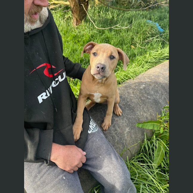 Photo of Shavina Dara