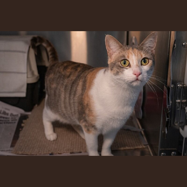 Photo of Lucy