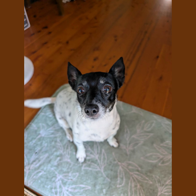 Photo of Abbie