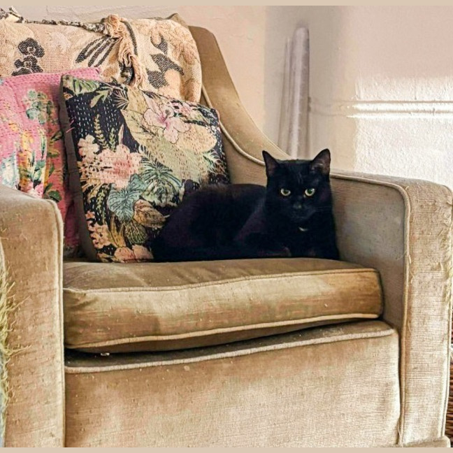 Photo of Chloe