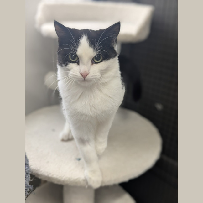 Photo of 🥇 Hulu 6043 🥇