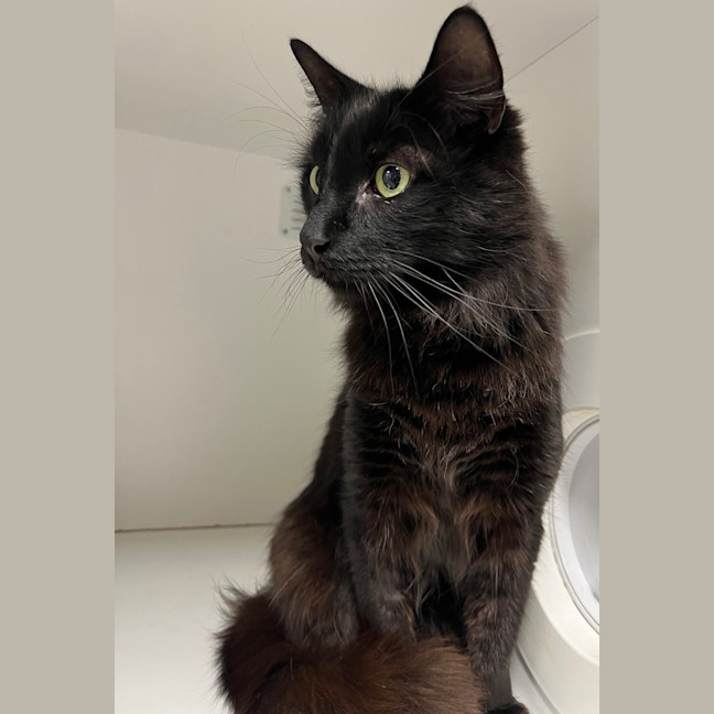 Photo of Oscar Hautot