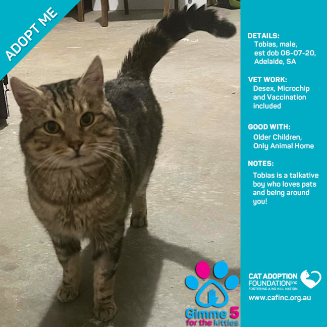 Photo of Tobias Only $39 Limited Time!