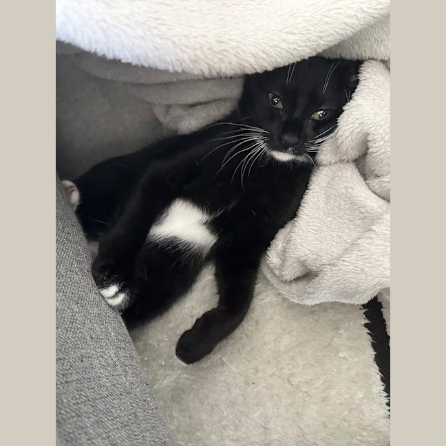 Photo of Apple Bottom Jeans