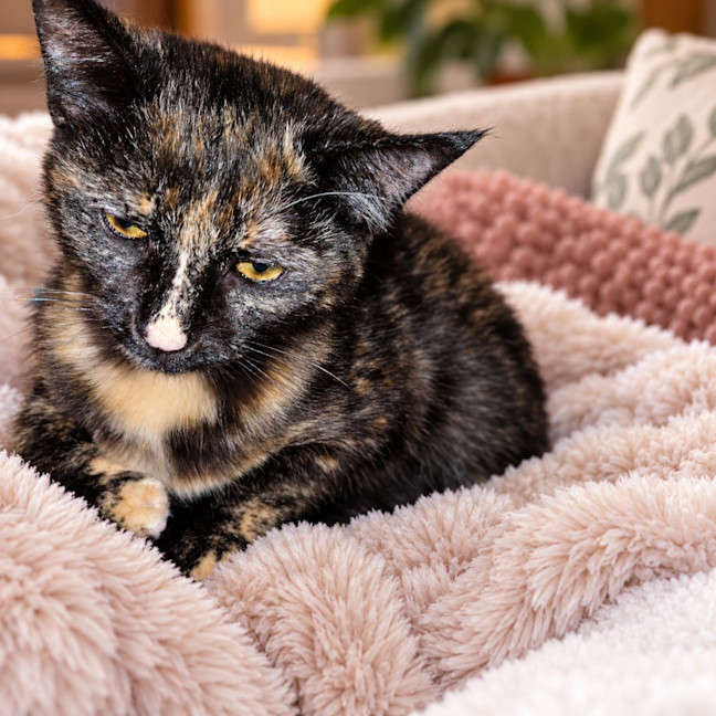 Photo of Muriel