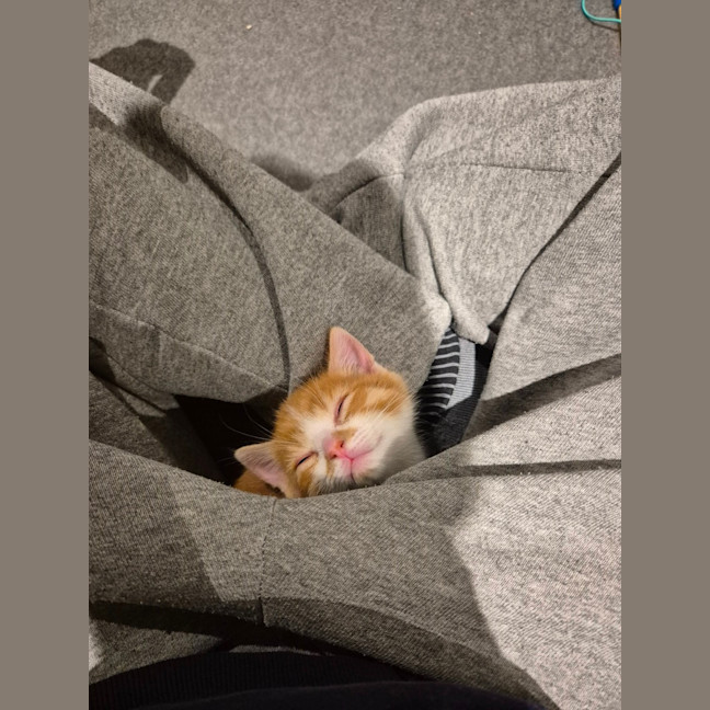 Photo of Jinkx Monsoon