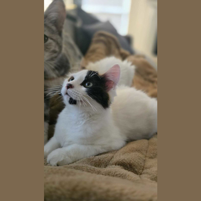 Photo of Bingo
