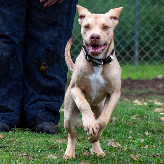 Photo of Cash