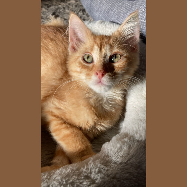 Photo of Kai