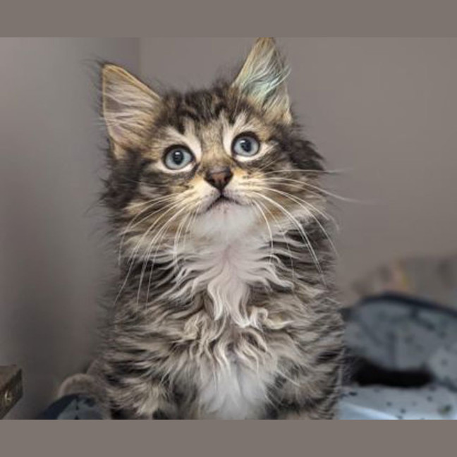 Photo of Squirm