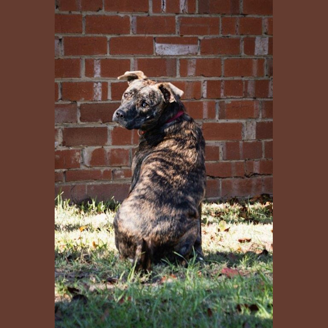 Photo of Benny Lozano