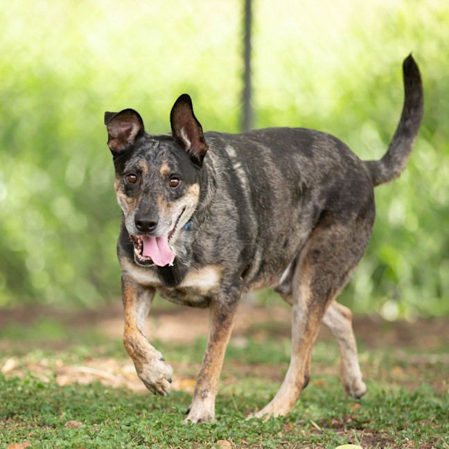 Photo of Max