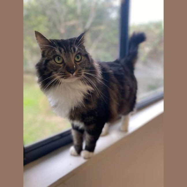Photo of Mister