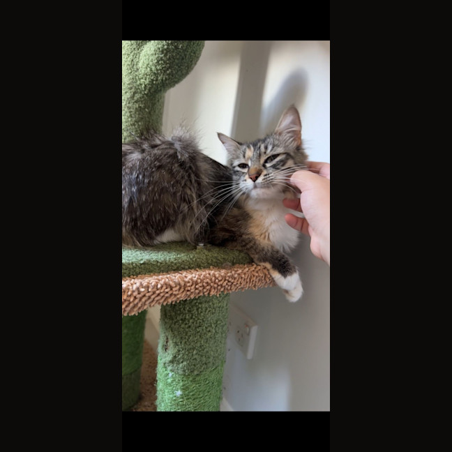 Photo of Sugar