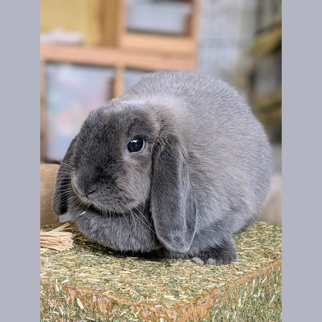 Photo of Louise