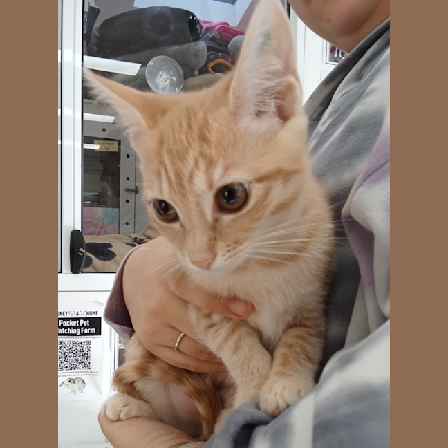 Photo of Mumm *Meet Me At Petstock Birkenhead*