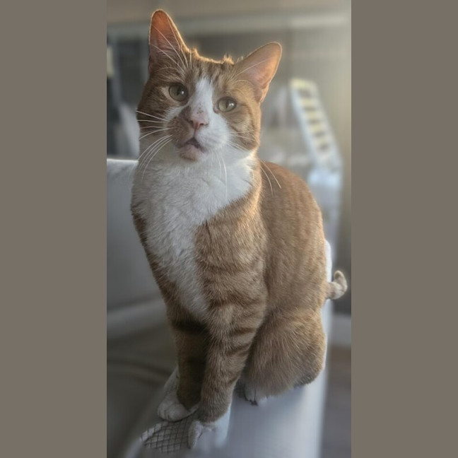 Photo of Owen