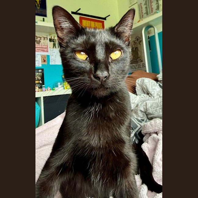 Photo of Boo