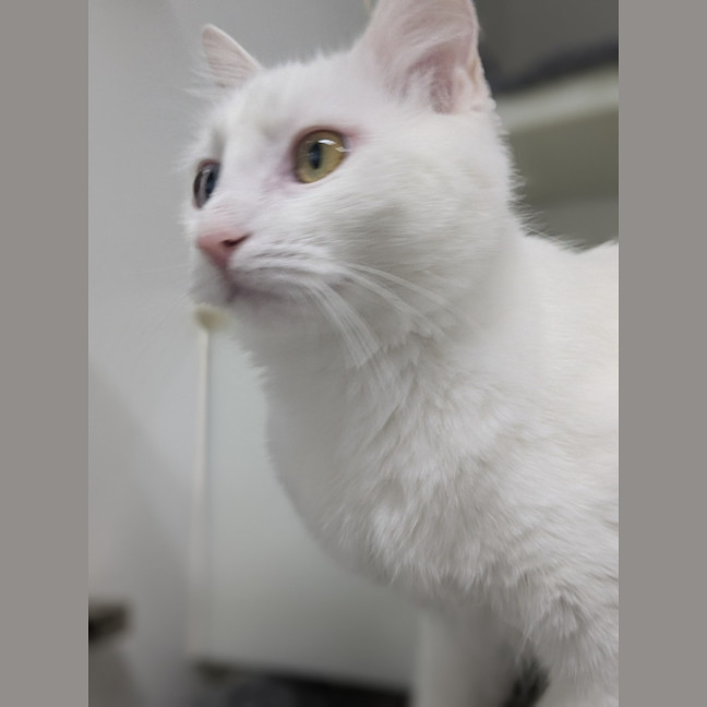 Photo of 🎀 Marie 5728 🎀