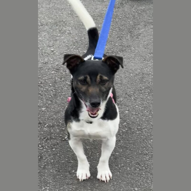 Photo of Boot Scootin Bill