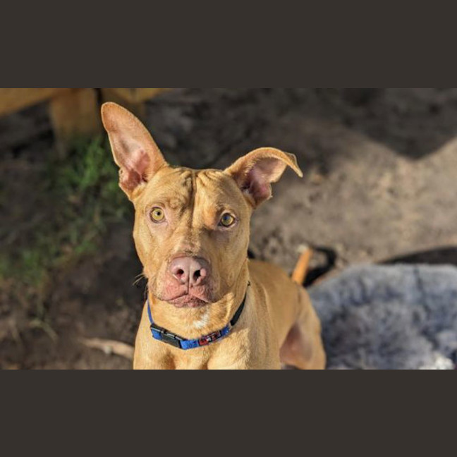 Photo of Strike