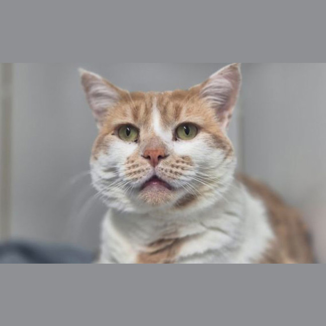 Photo of Morty
