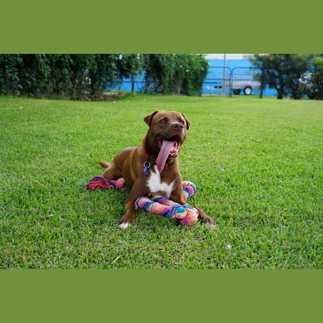 Photo of Wally