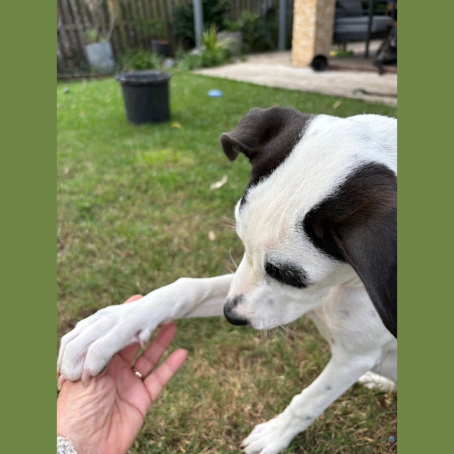 Photo of Sugar 