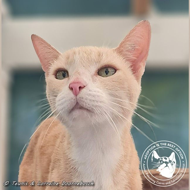 Photo of Eagless And Weston