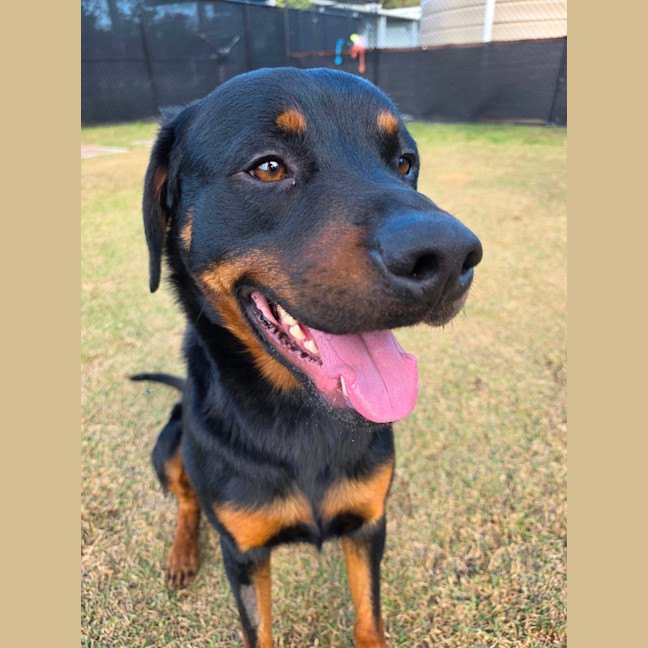 Photo of Zeus