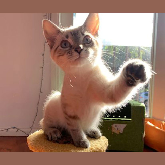 Photo of Lilly