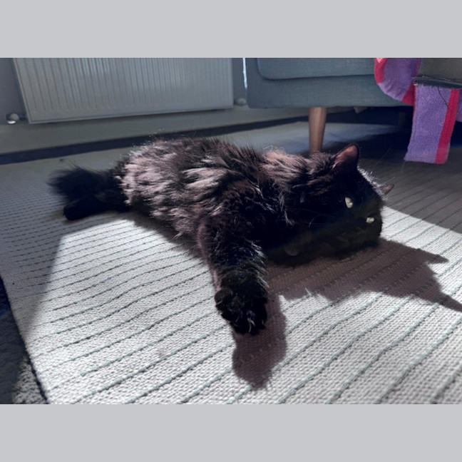 Photo of Sootie Uffelman