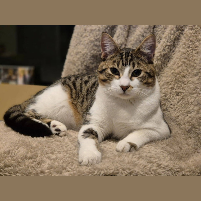 Photo of Flip