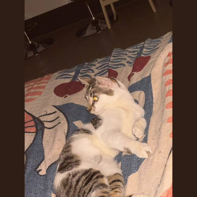 Photo of Nugget Scott