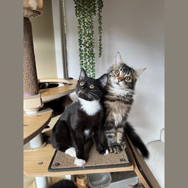 Photo of Jack & Jupiter