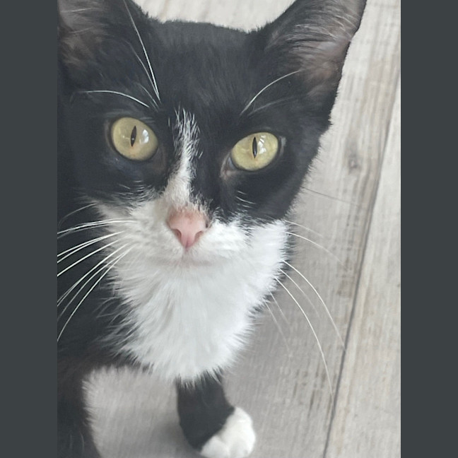 Photo of Carol (8905)