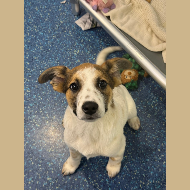 Photo of Sprout 