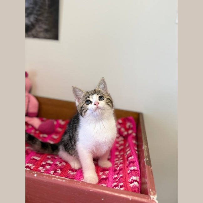 Photo of Gianna